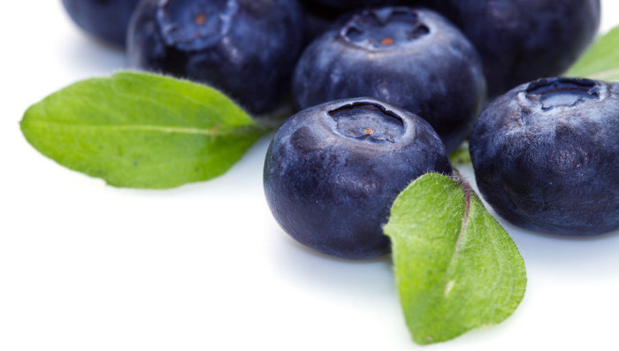 fresh content blueberries idx broker