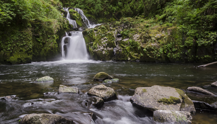 A woodland waterfall tumbles over mossy rocks and into a pool at the end of Sweet Creek Trail in Oregon’s coast range between Eugene and Florence. An easy popular local hike for residents and tourists alike.