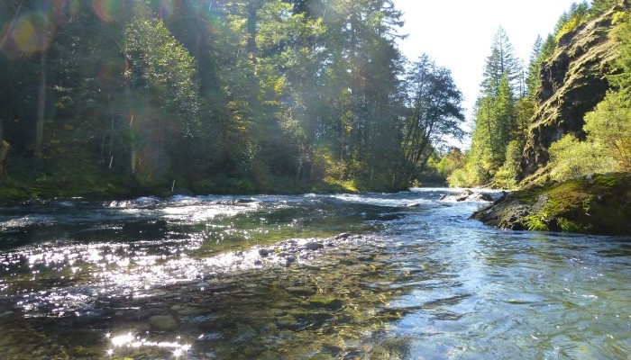 McKenzie River Trust - Photo of McKenzie River