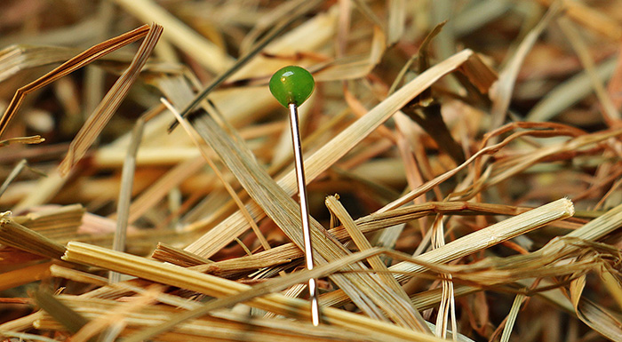 needle in a haystack